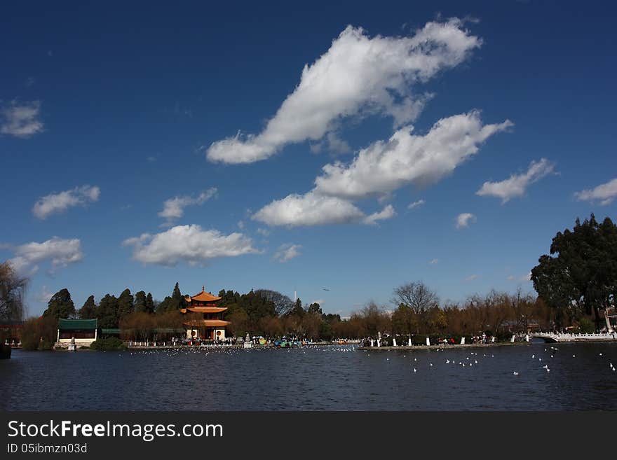 Public Garden