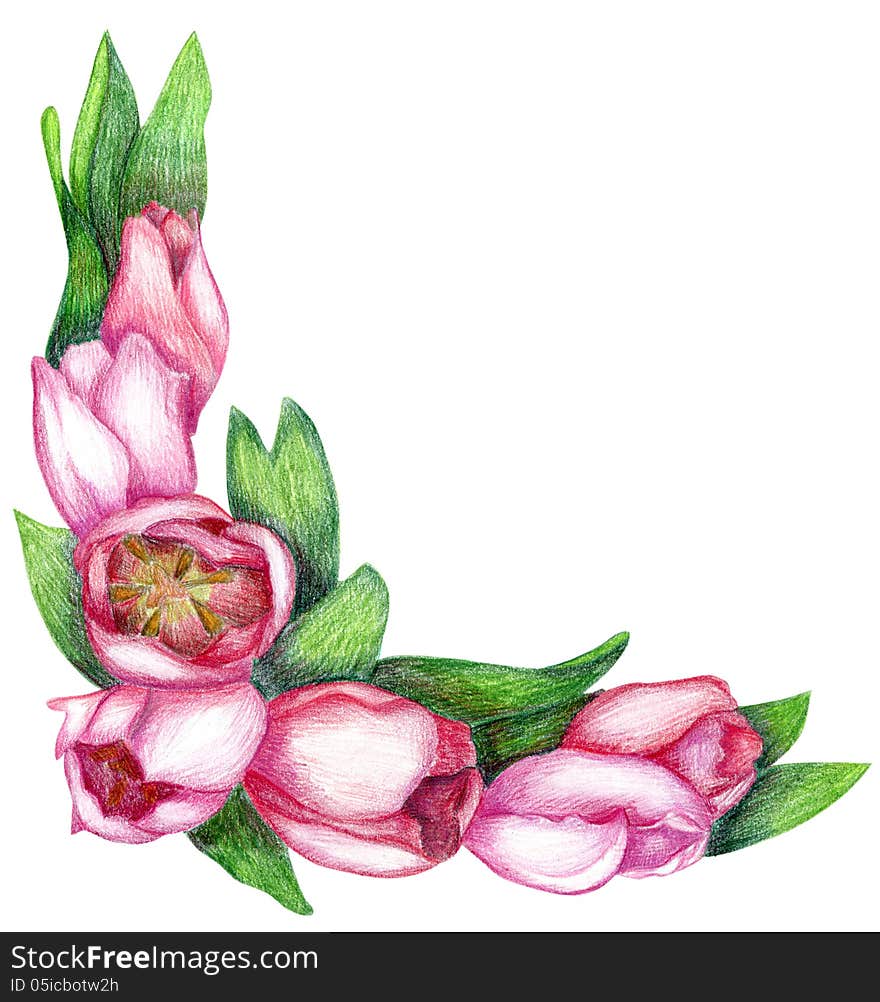 Hand-drawn tulip corner