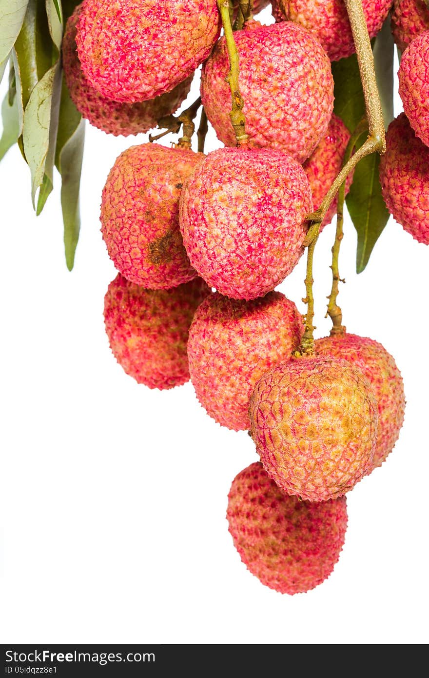 Isolated fresh lychees fruit