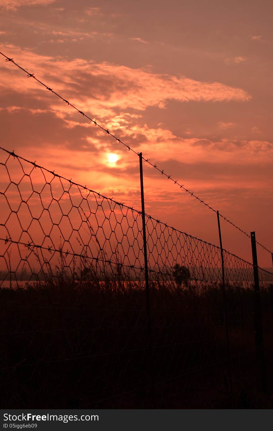 Sunrise barbed wire.