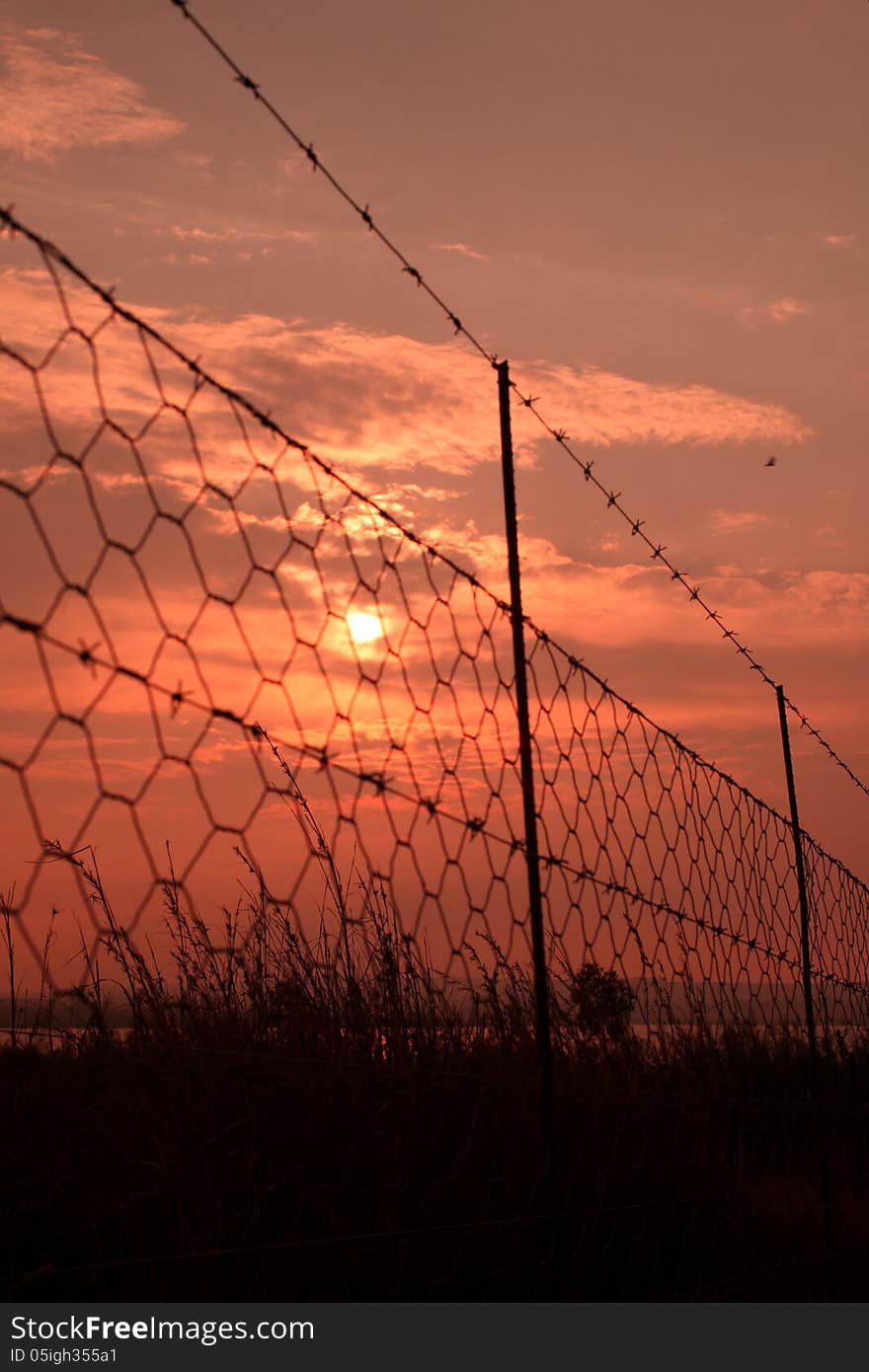 Sunrise barbed wire.