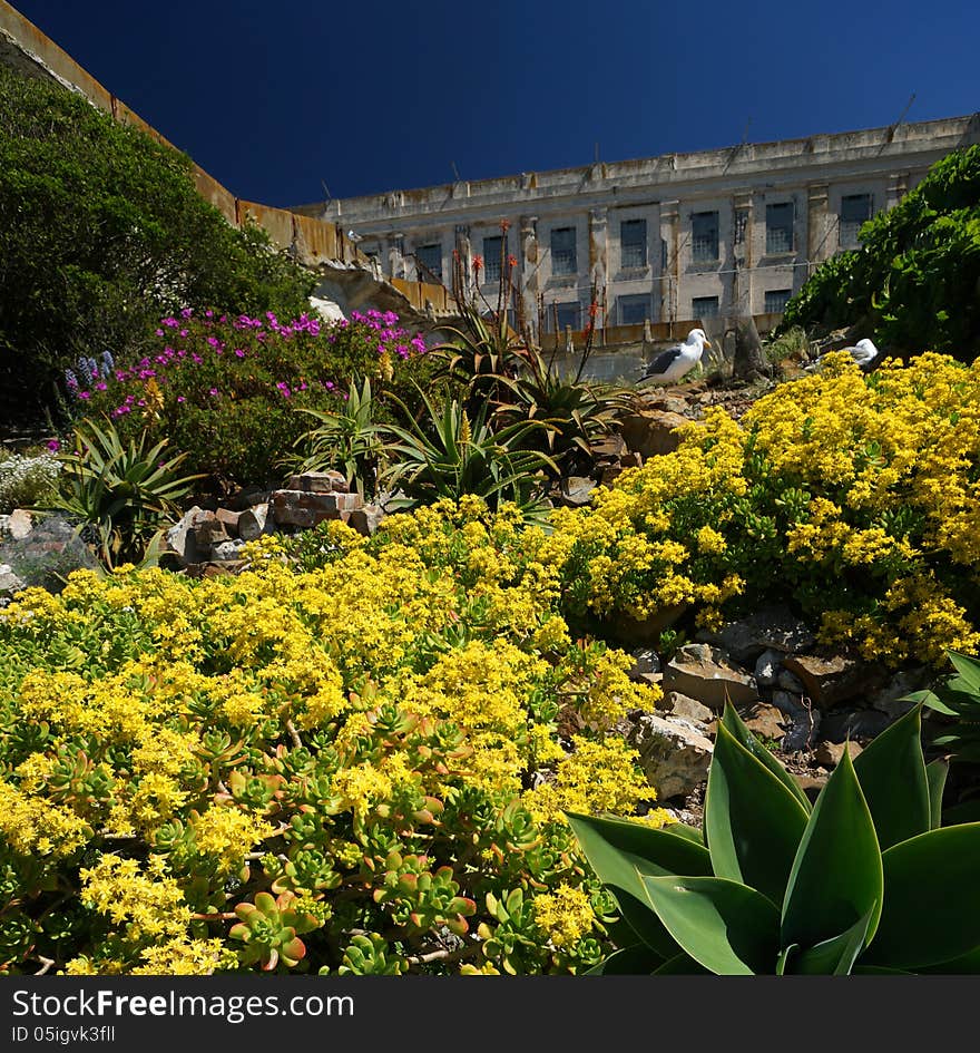 Alcatraz Prison Island