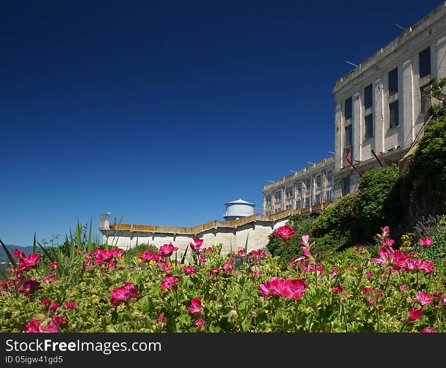 Alcatraz Island