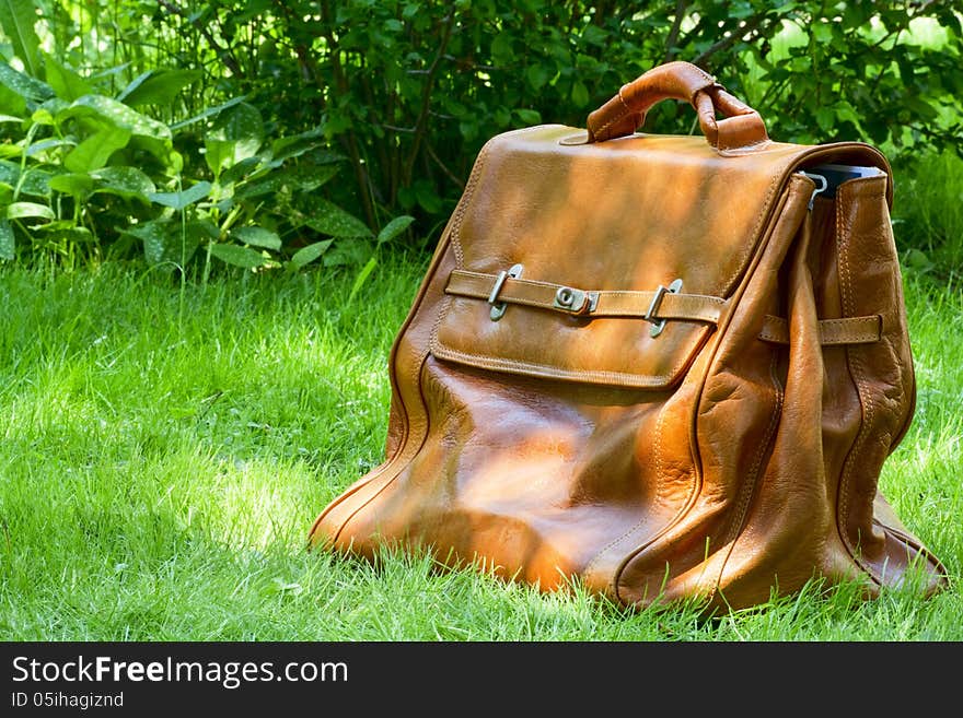 Sunlit leather carpetbag on a background of green grass