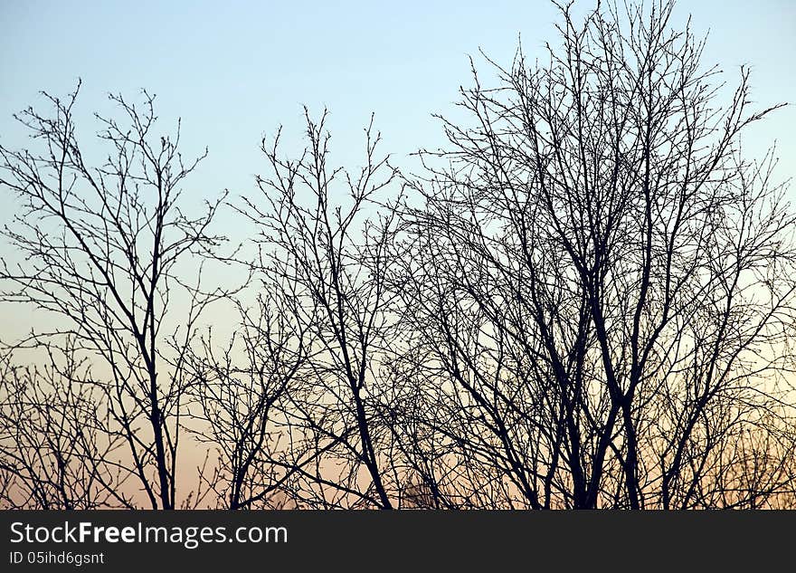 Colors and deciduous landforms in outdoor scene. Colors and deciduous landforms in outdoor scene