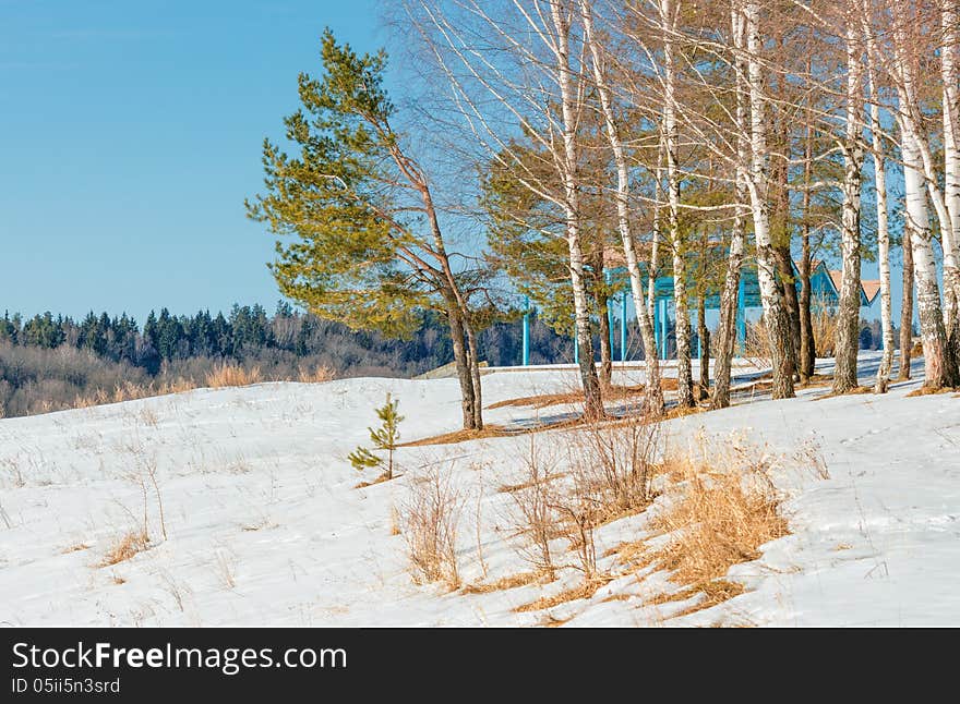 On the bank of the frozen lake.