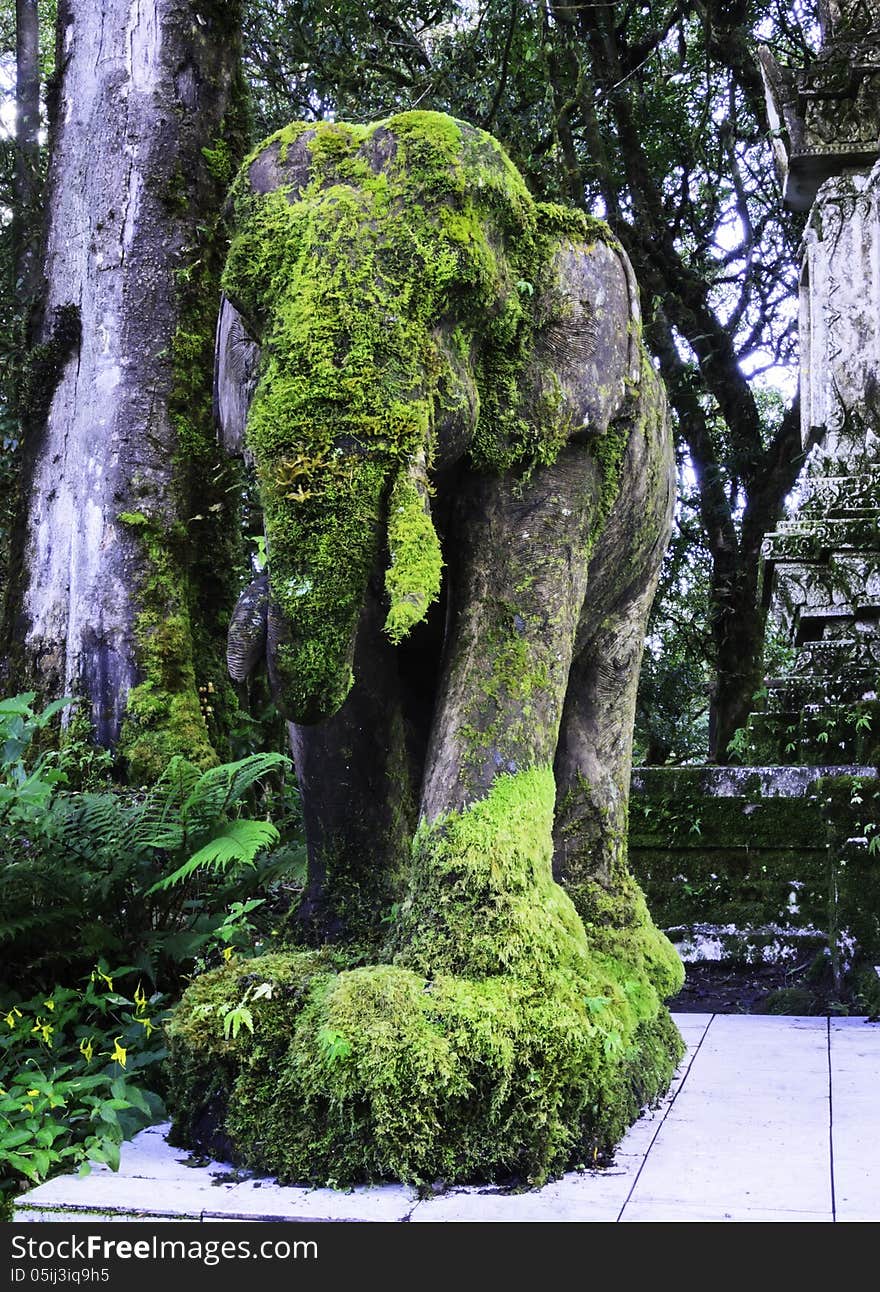 Plants on the elephant statue