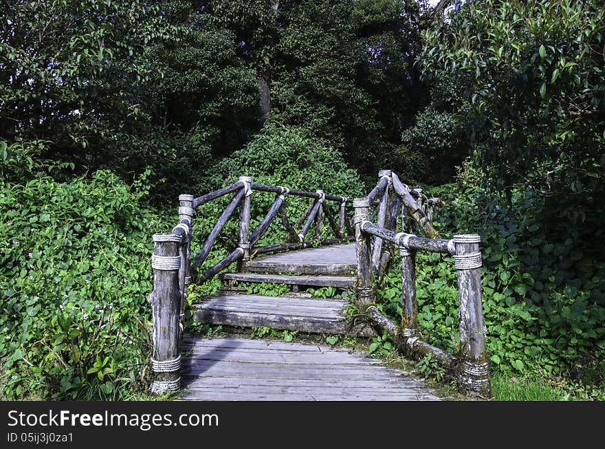 Wood bridge for people to walk into the forest