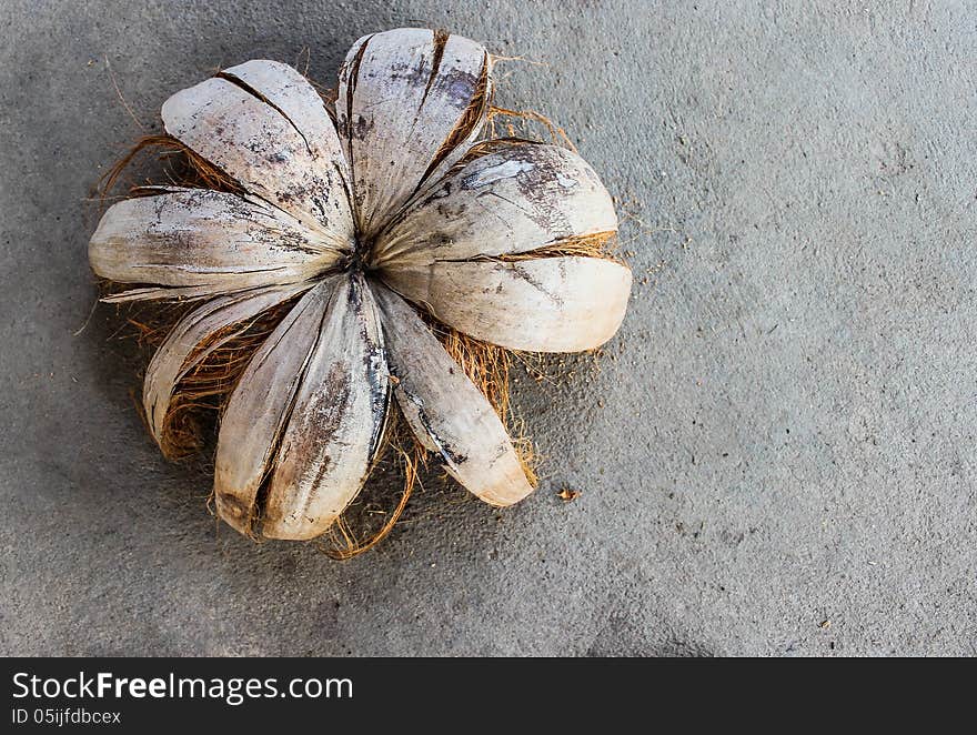 Coconut shell with a cement floor in the background