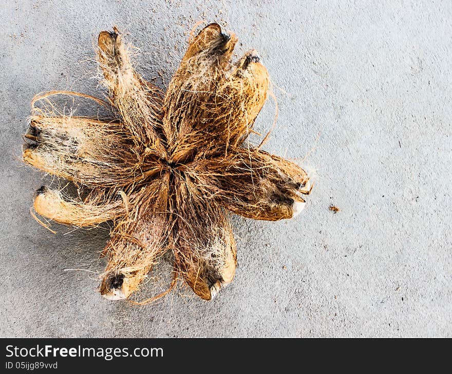 Coconut shell with a cement floor in the background