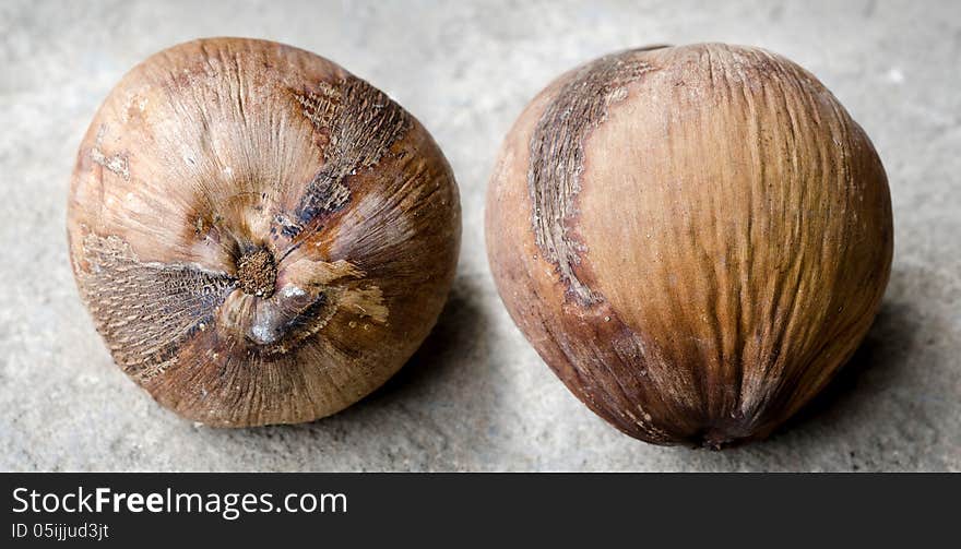 Dry coconut with concrete floor. Dry coconut with concrete floor