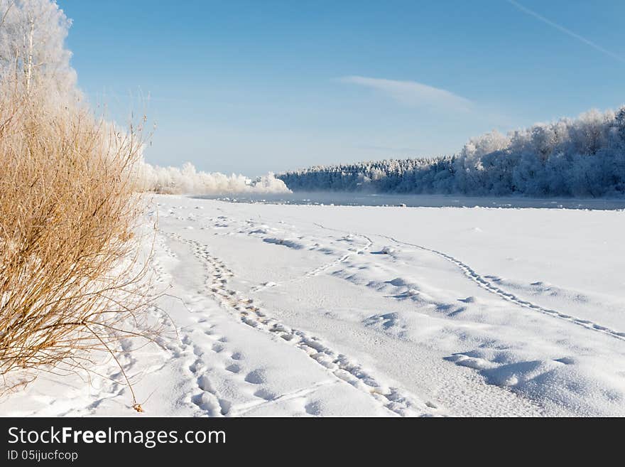 Dvina rver under ice. Not frozen sites of the river are in the distance noticeable. Over these sites steam rises. Landscape near Zdrawneva. The municipality of Ruba. Belarus. 2013. Dvina rver under ice. Not frozen sites of the river are in the distance noticeable. Over these sites steam rises. Landscape near Zdrawneva. The municipality of Ruba. Belarus. 2013.