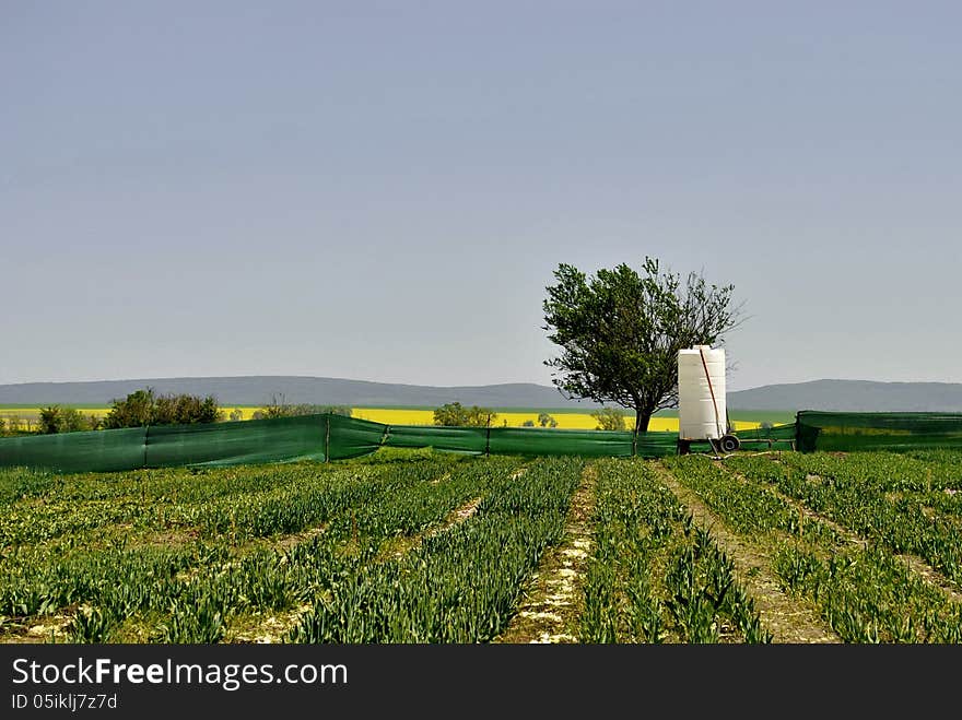 Nature and field and barrel for watering spun-bond. Nature and field and barrel for watering spun-bond