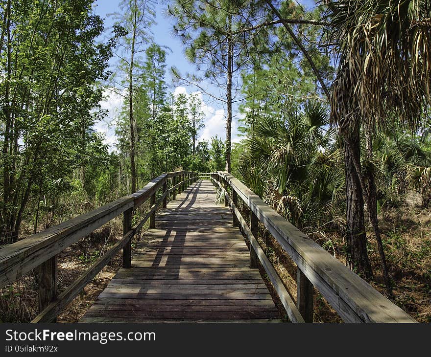 Trail Walkway