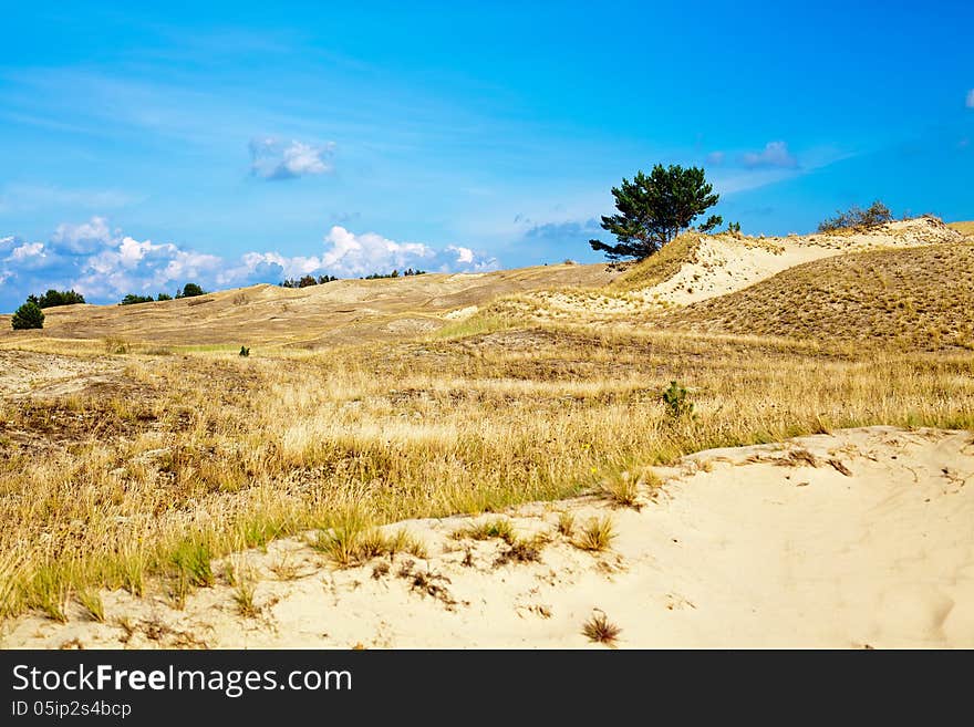 At The Curonian Spit