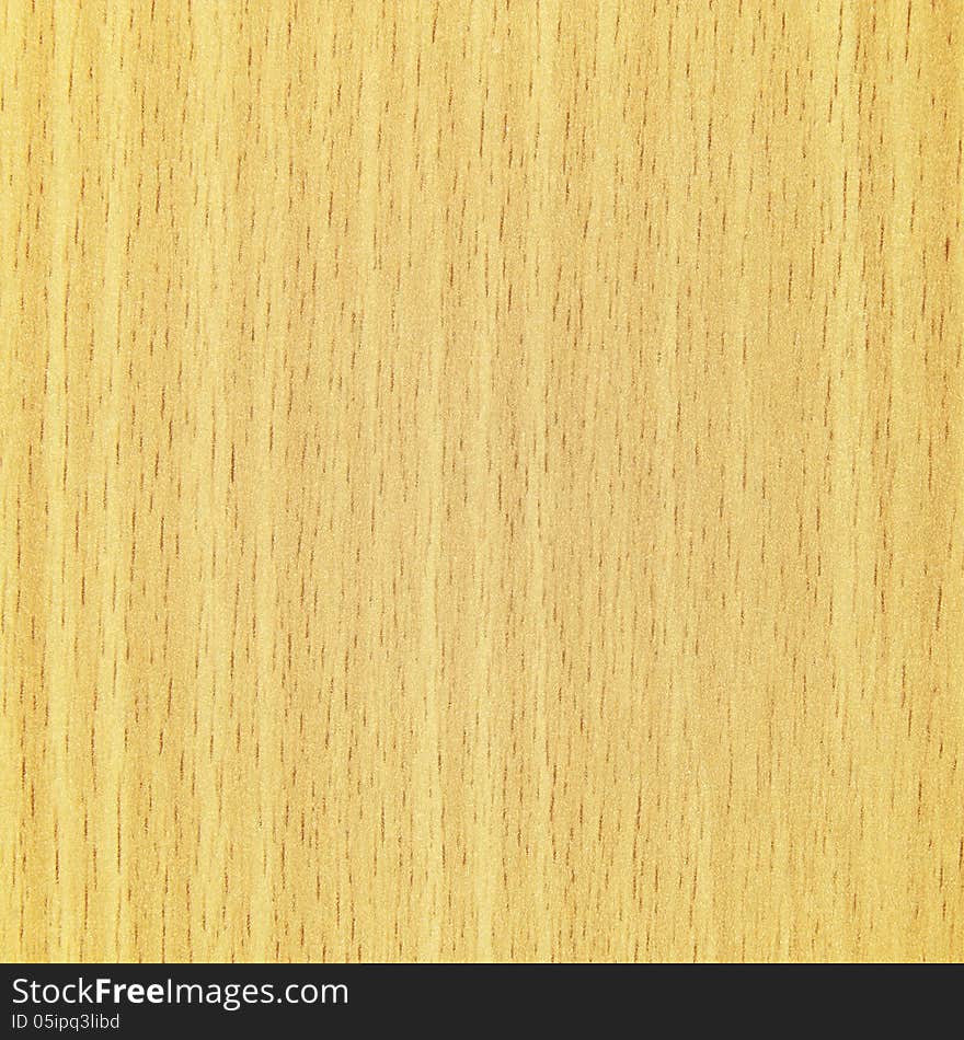 Texture of wood pattern background.