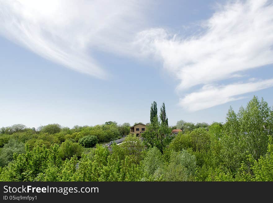 Cottage, Poplar, Clouds