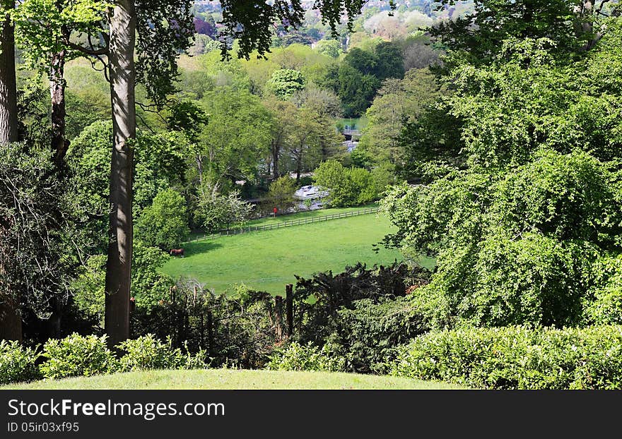 Looking down on the River Thames form a wooded hillside. Looking down on the River Thames form a wooded hillside