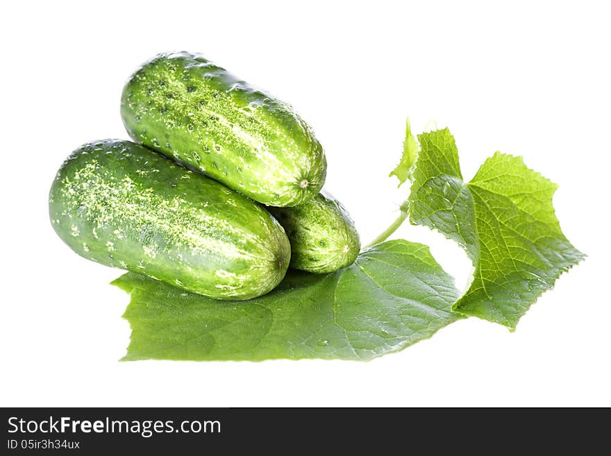 Cucumbers on white background with green leaf