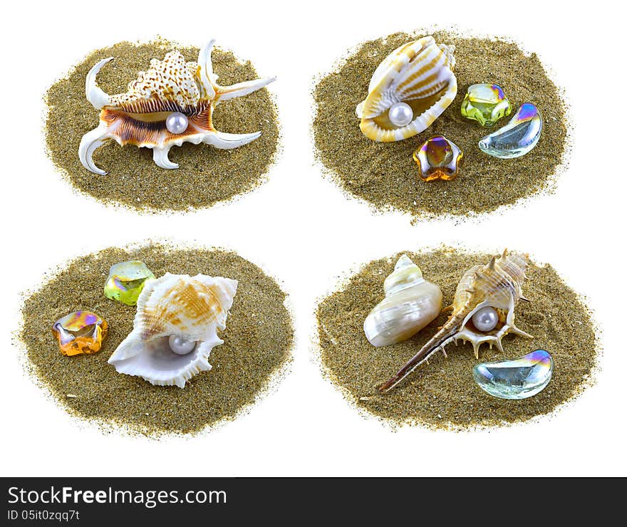 Set of shells with pearls on sand isolated. Set of shells with pearls on sand isolated