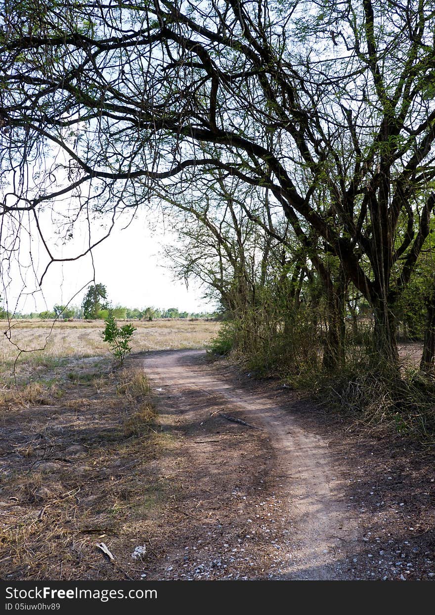 Road in countryside of Thailand. Road in countryside of Thailand