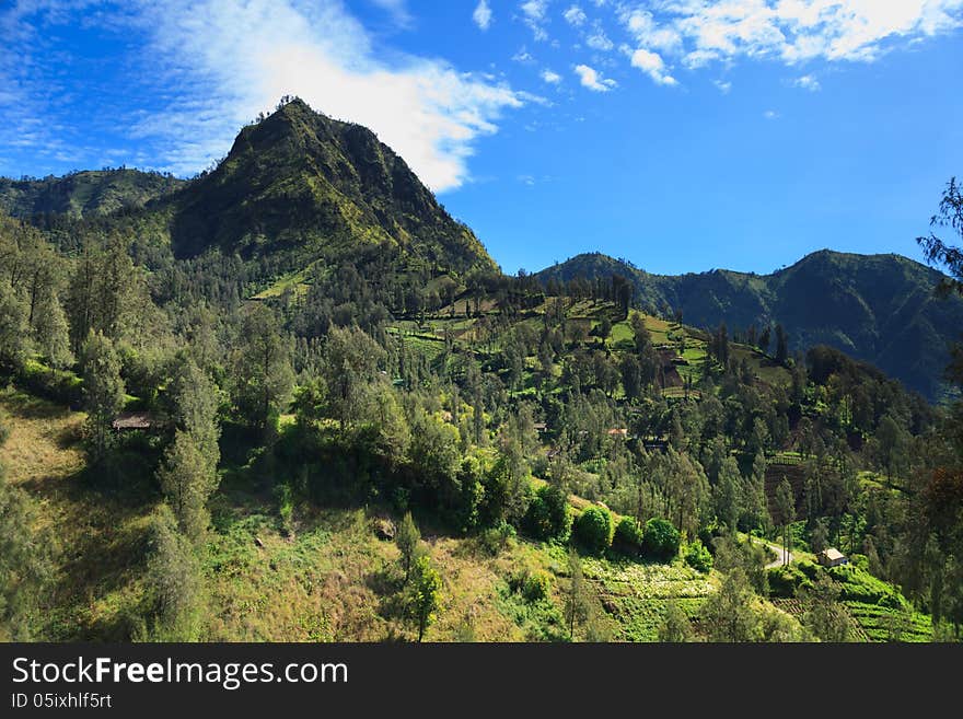 Summer landscape in high mountains and the blue sky with clouds