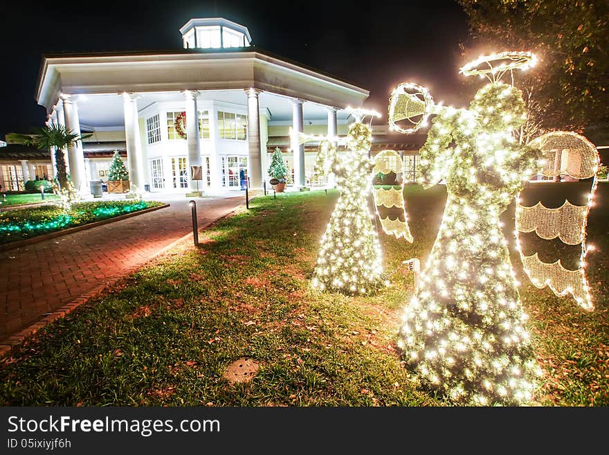 Garden night scene at christmas time in the carolinas