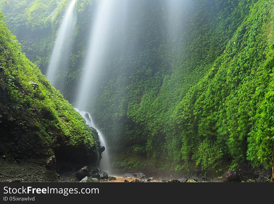 Madakaripura Waterfall – Deep Forest Waterfall