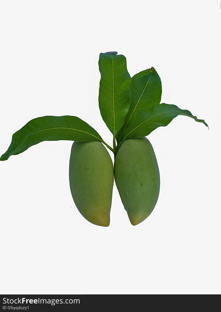 The tropical fruits with leaves on white isolation. The tropical fruits with leaves on white isolation.