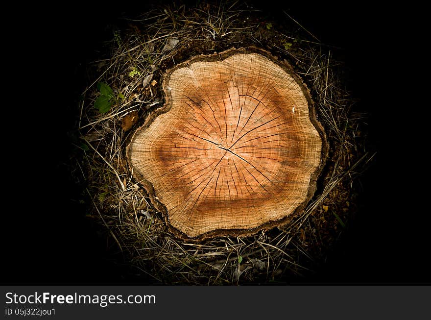 Abstract image on a black background purple blue ball shaped stump. Abstract image on a black background purple blue ball shaped stump