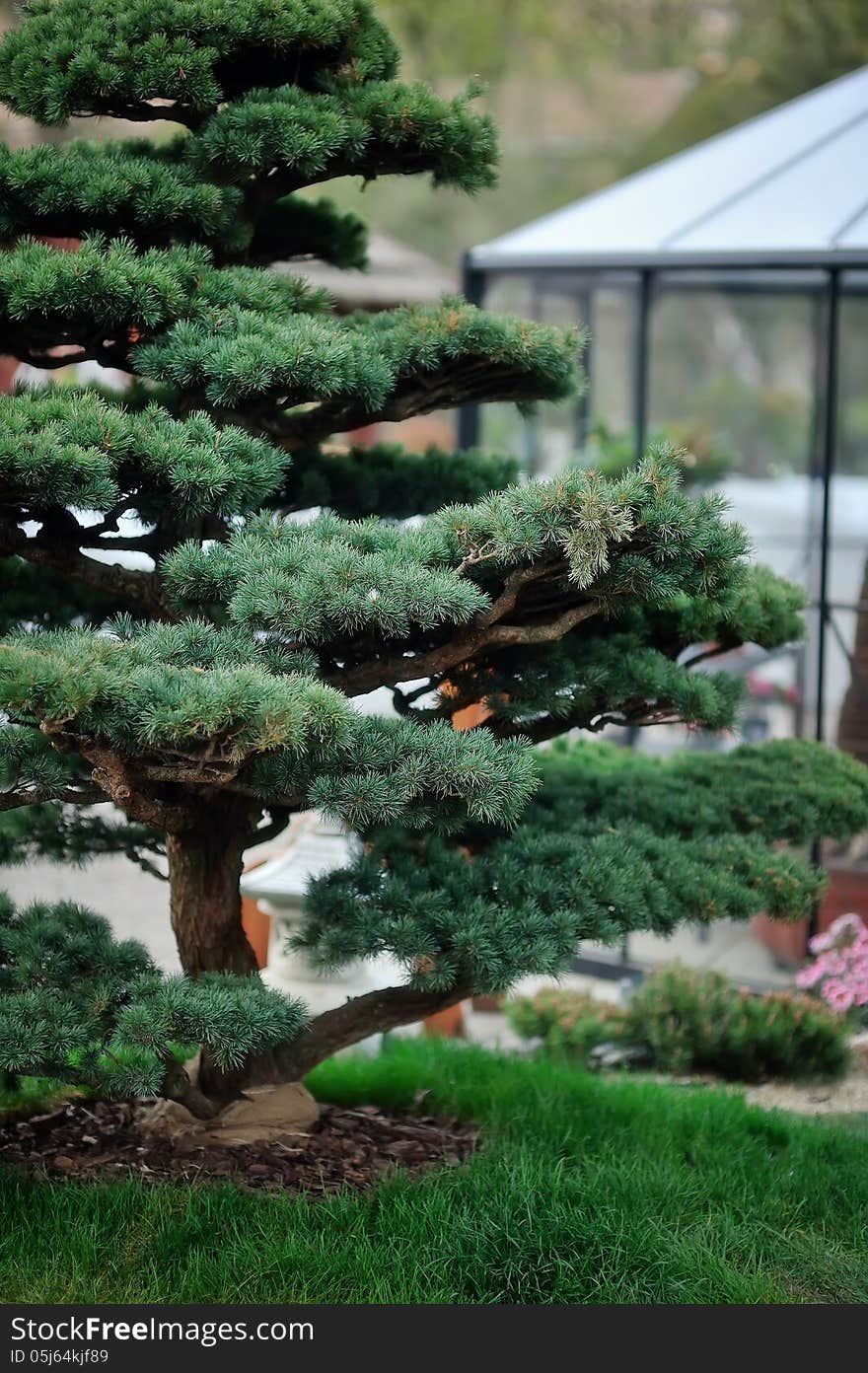 In a large green park tree grown in a traditional Chinese style. In a large green park tree grown in a traditional Chinese style