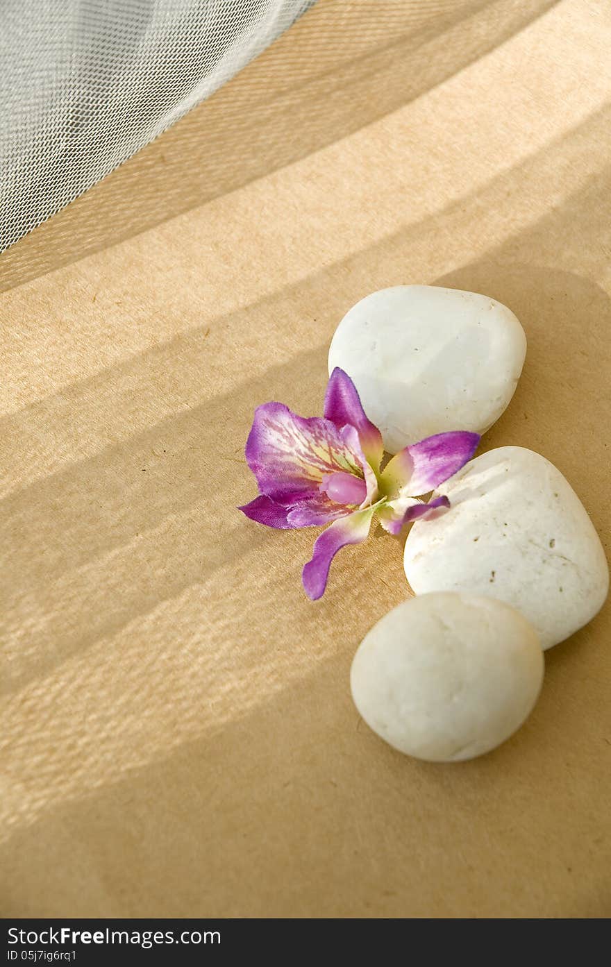 Orchid and white stone on brown background with light and shadow. Orchid and white stone on brown background with light and shadow