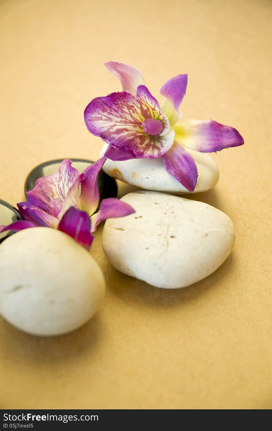 Close up orchid with stone on brown background