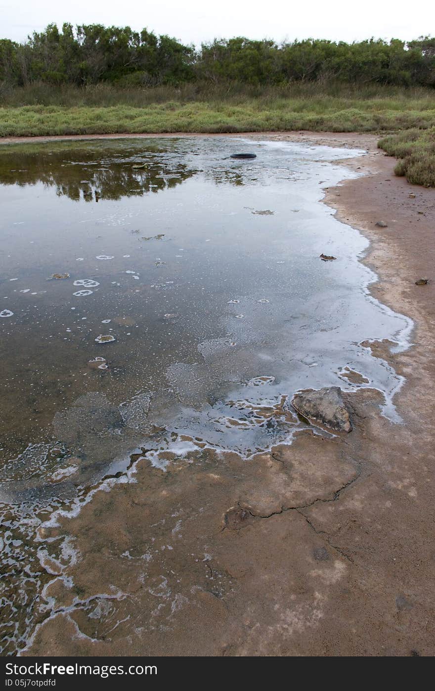 Polluted Water In Countryside