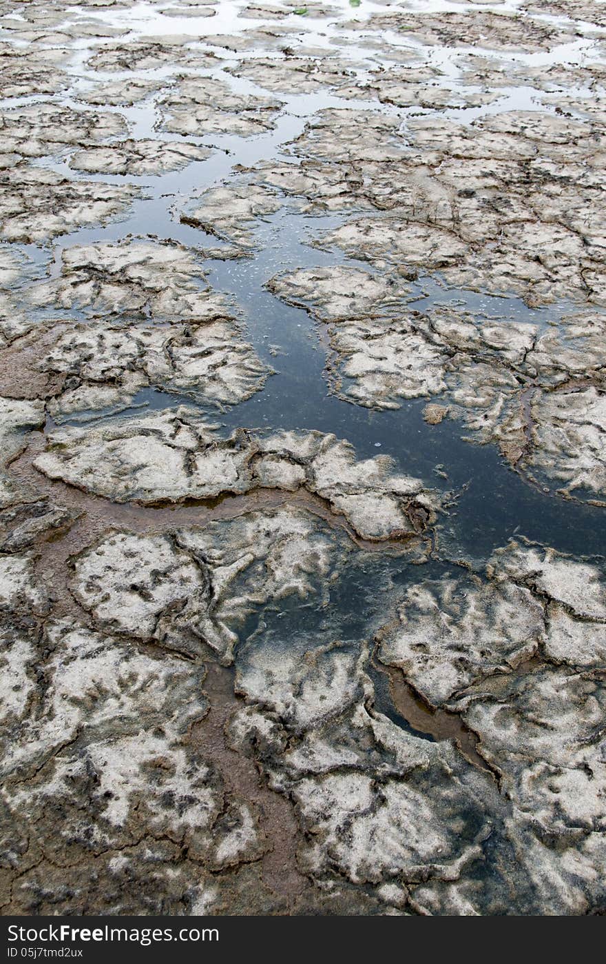 Polluted water and cracked mud create a interesting mosaic that resembles the image of the crust of the earth taken from a satellite. Polluted water and cracked mud create a interesting mosaic that resembles the image of the crust of the earth taken from a satellite