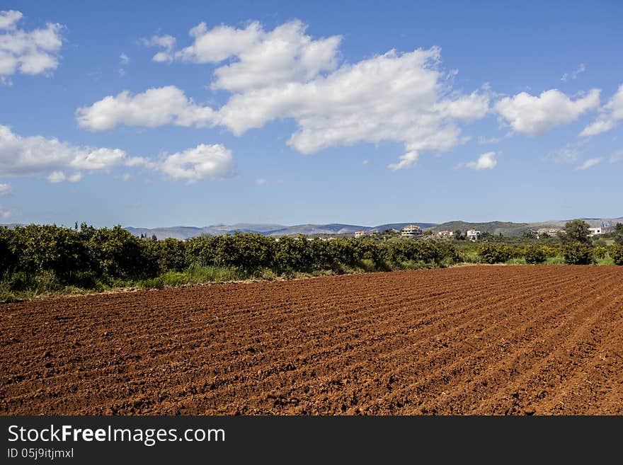 Cultivated Field