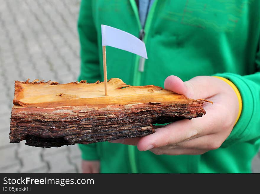 Wooden toy boat in hand