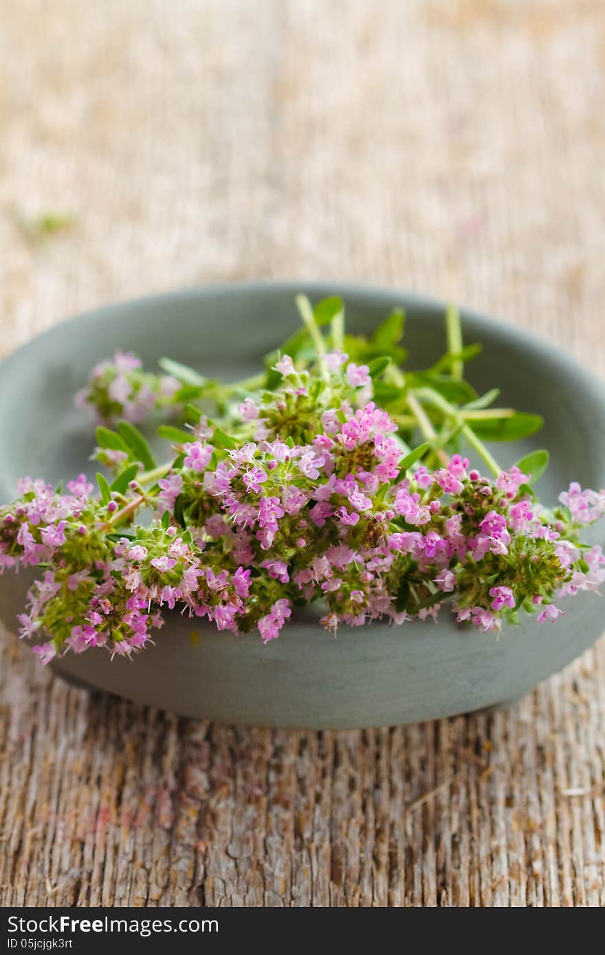 Fresh bunch of thyme on wood background