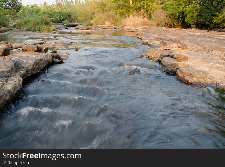 A quiet streamlet in the forest.