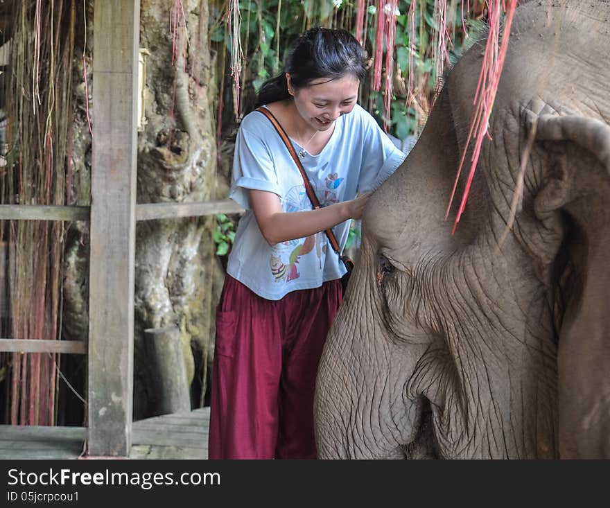 Happy female tourist playing with elephant