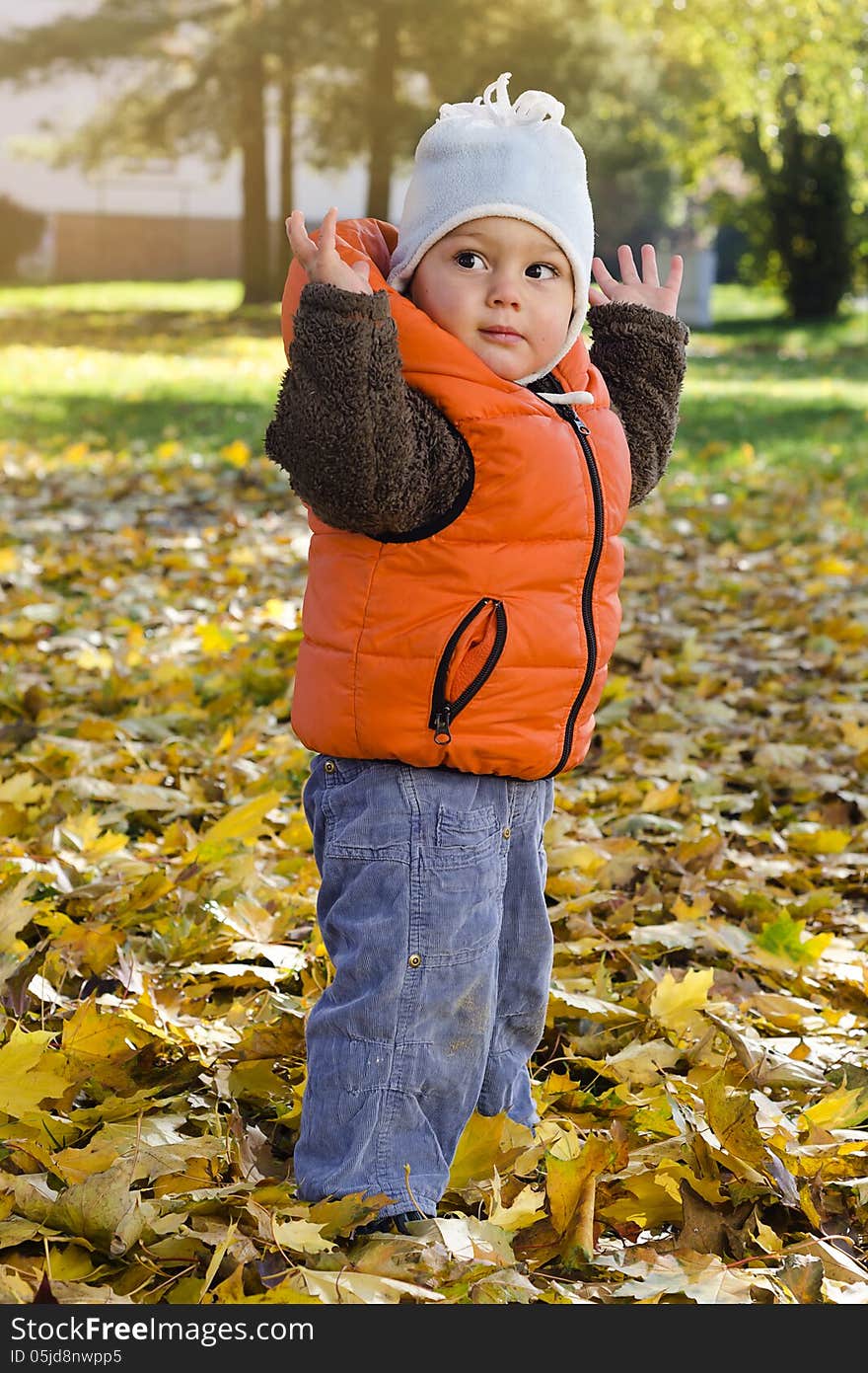 Child toddler, bou ro girl, playing in autumn or fall park with yellow leaves. Child toddler, bou ro girl, playing in autumn or fall park with yellow leaves