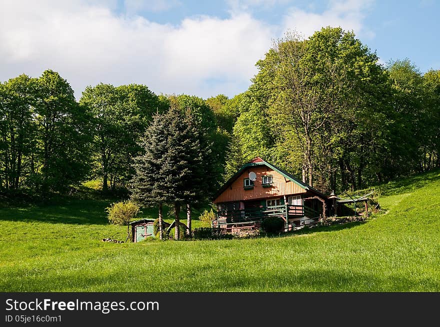 Cottage, Meadow And Trees