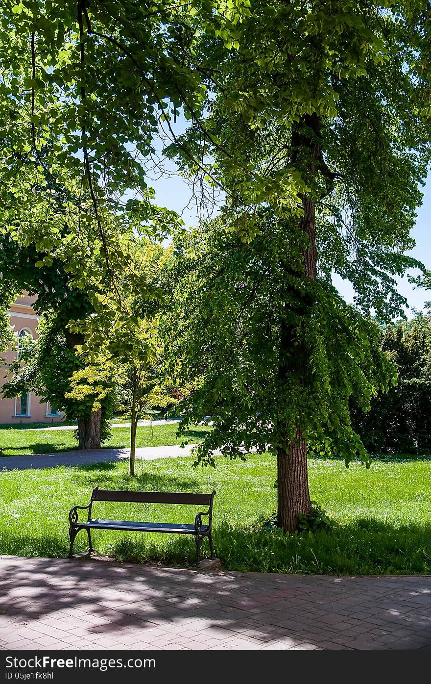 Park with bench, green trees and road. Park with bench, green trees and road