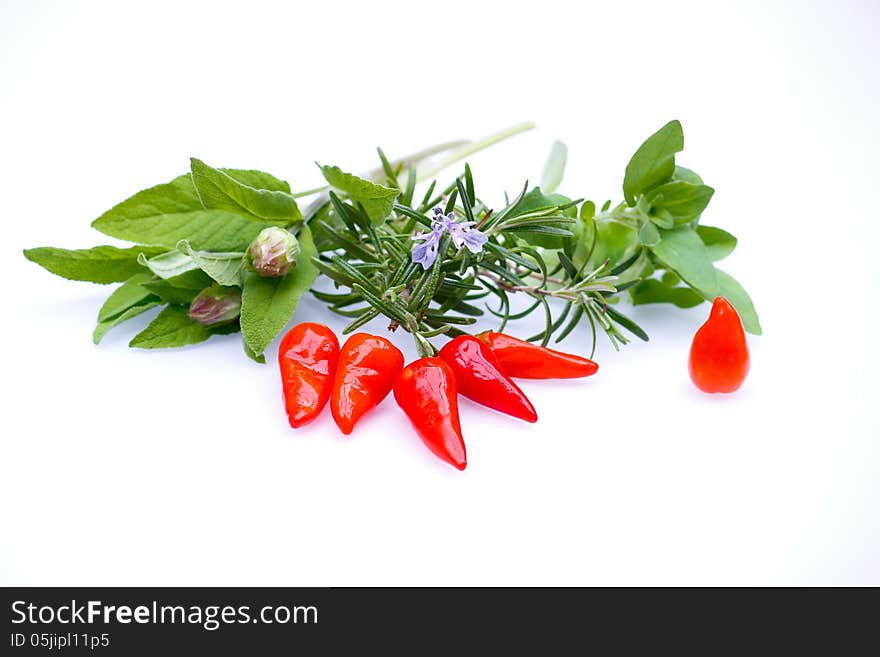 Red Chili peppers and herbs mix, isolated on white underground. Red Chili peppers and herbs mix, isolated on white underground