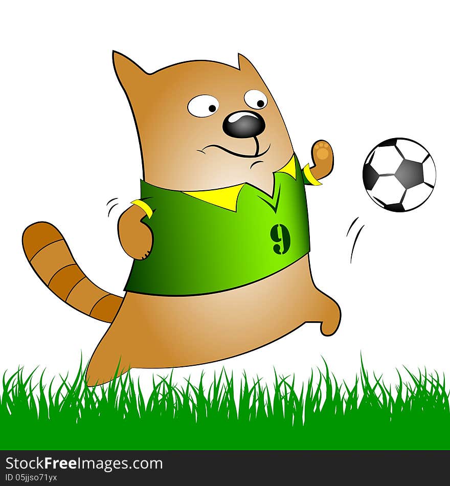 Cat With Soccer Ball