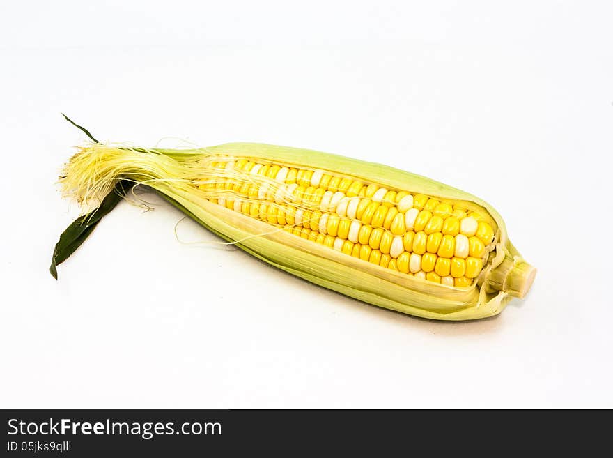 The mature corn still life