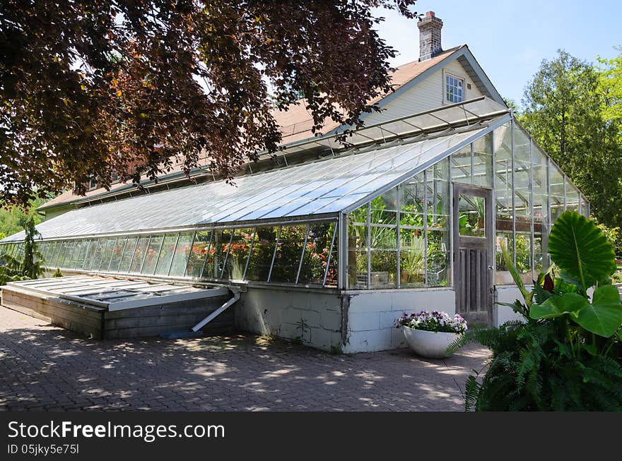 Glass greenhouse with plants and foliage