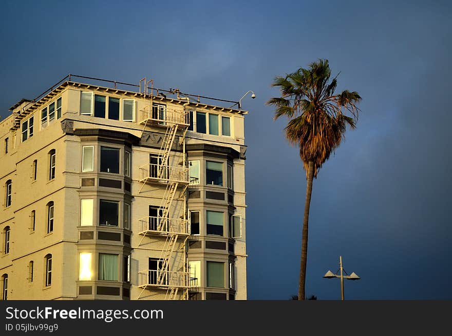 Beachside Building and Palm