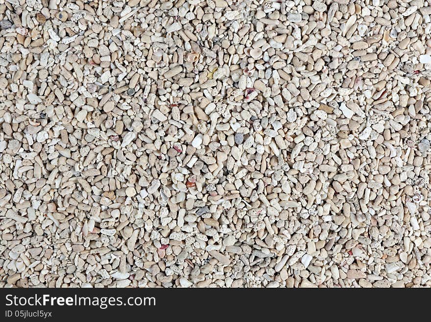 Sand natural tropical texture pattern background shell. Sand natural tropical texture pattern background shell