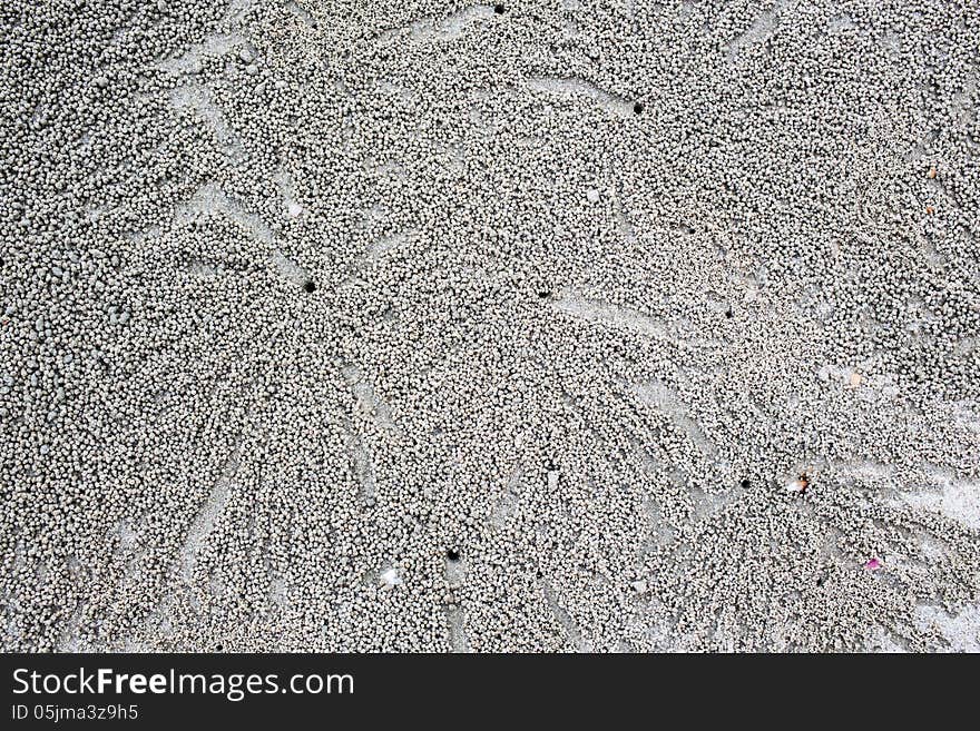 Texture of beach sea sand.